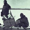 The Many Lives of Douglas Mawson - Image 8