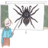 Spider Stories: My Journey from Phobia to Fascination - Image 2