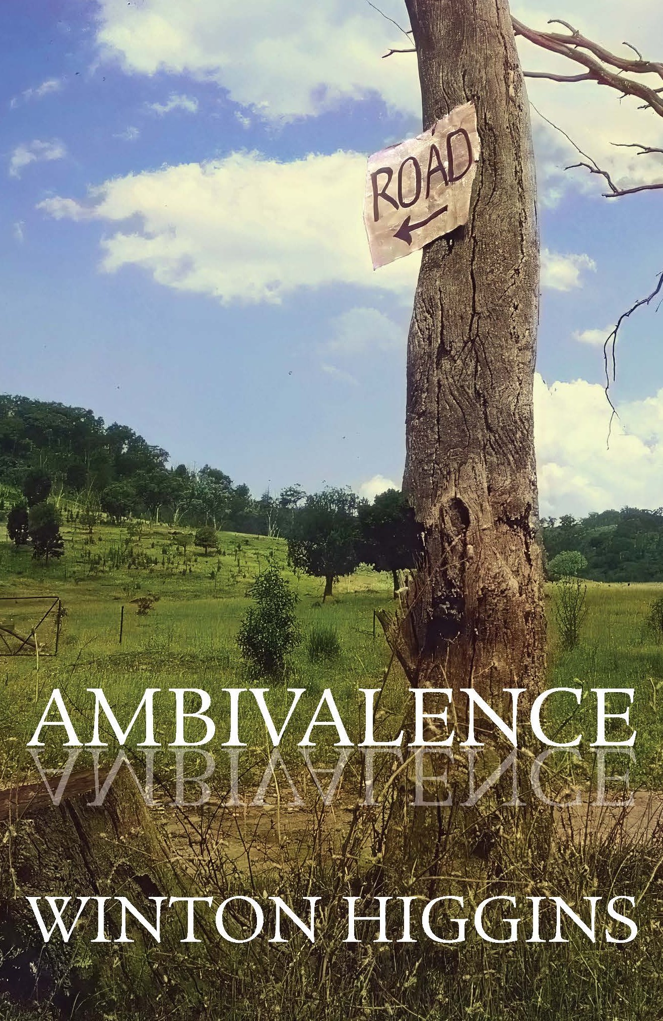 Ambivalence
